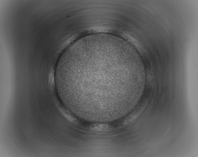 X0000110860398200906251212