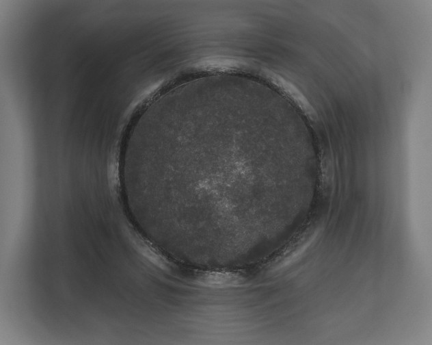 X0000110860399200906251212