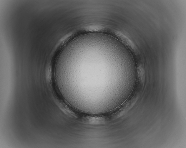 X0000110860400200906251212