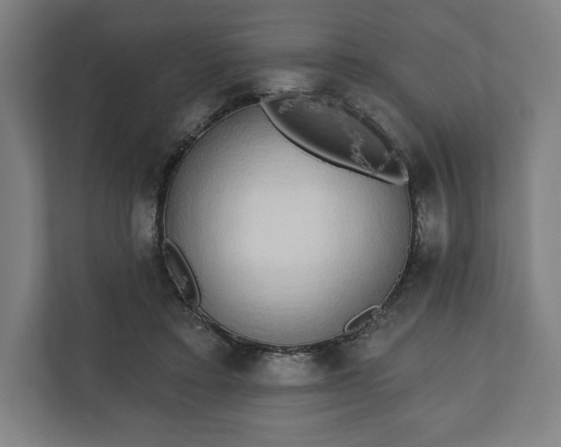 X0000110860403200906251212