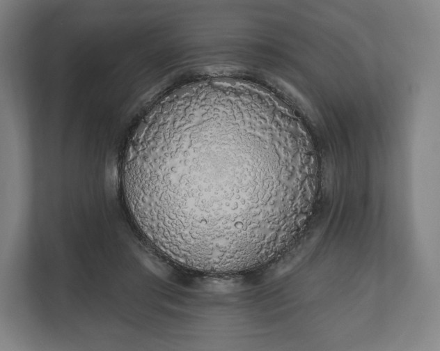 X0000110860405200906251212