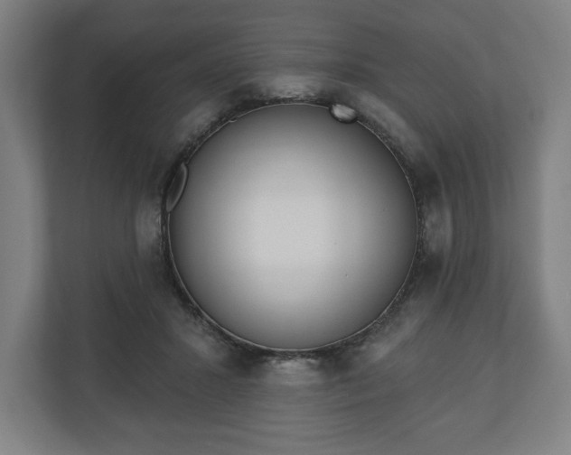 X0000110860407200906251212