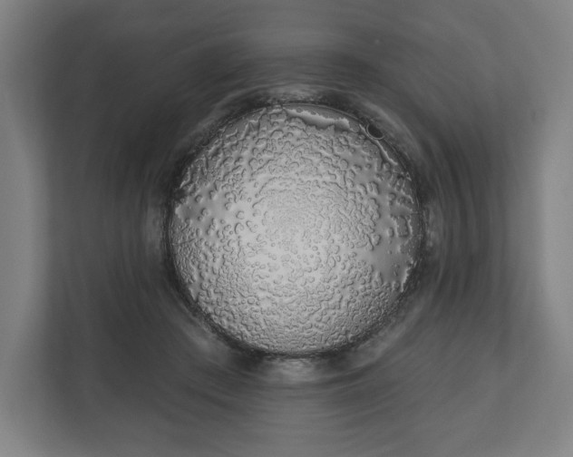 X0000110860409200906251212