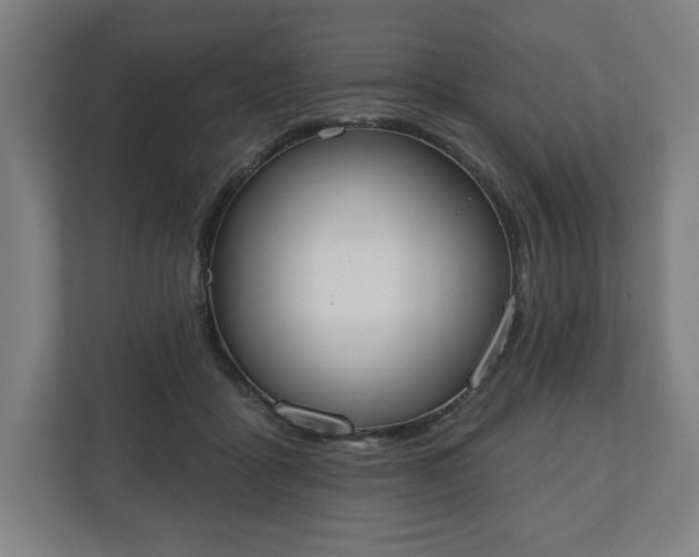 X0000110860411200906251212