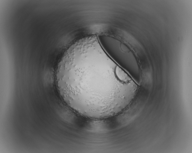 X0000110860413200906251212