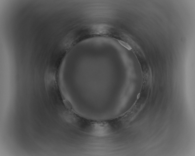 X0000110860415200906251212