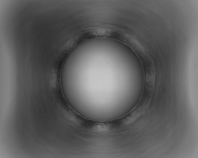 X0000110860416200906251212