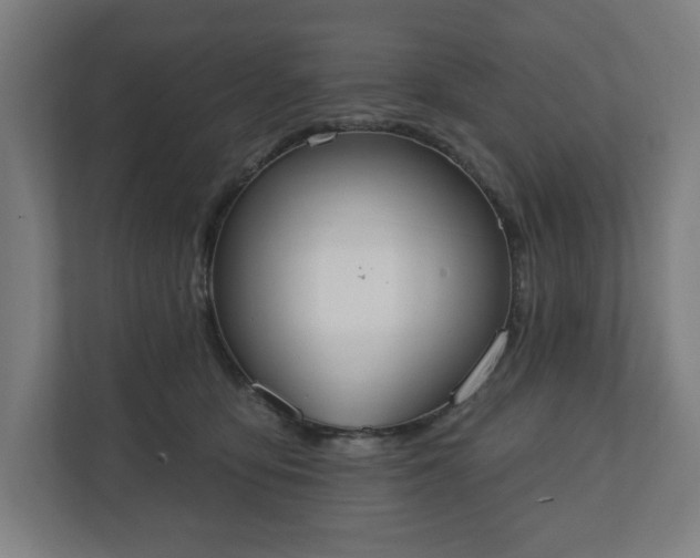 X0000110860419200906251212