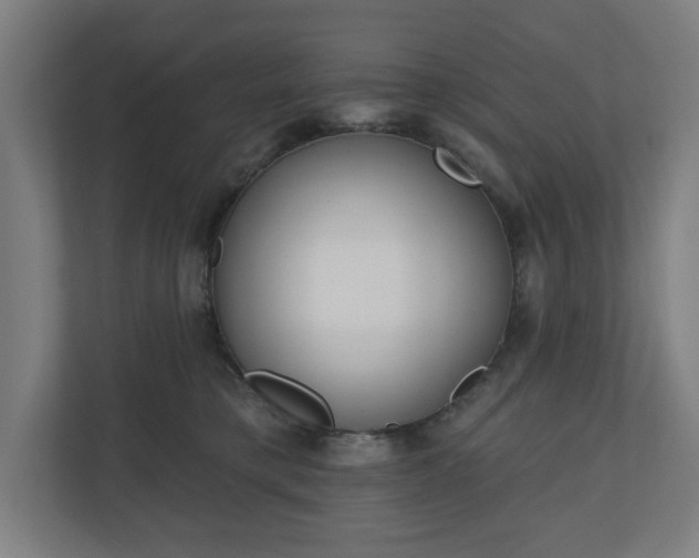 X0000110860421200906251212