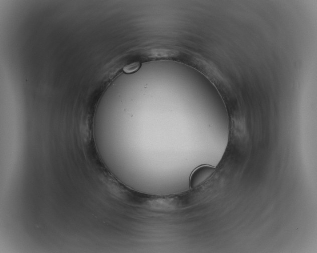 X0000110860422200906251212