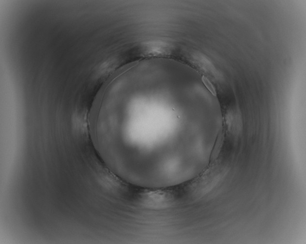 X0000110860423200906251212