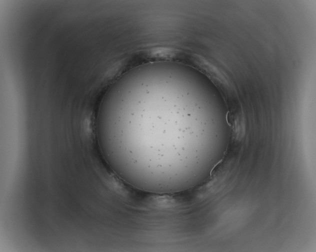 X0000110860424200906251212