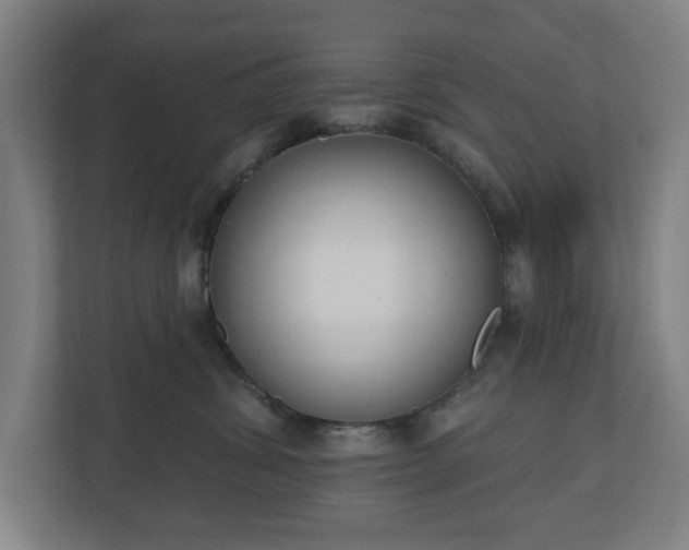 X0000110860428200906251212