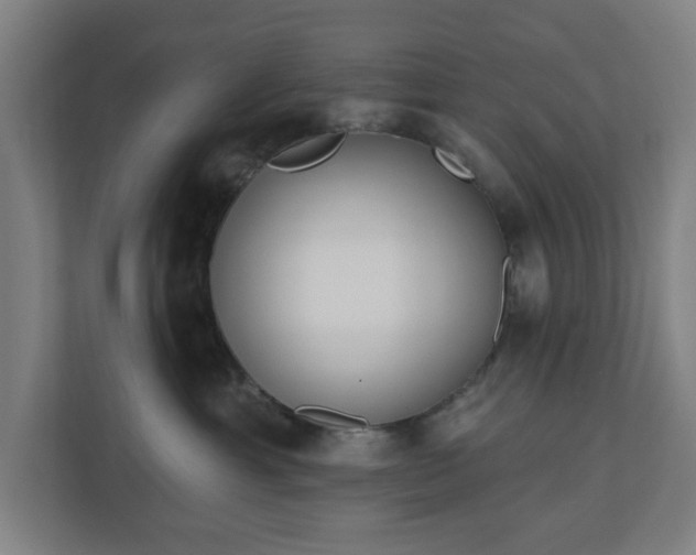 X0000110860429200906251212