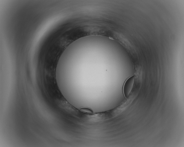 X0000110860430200906251212