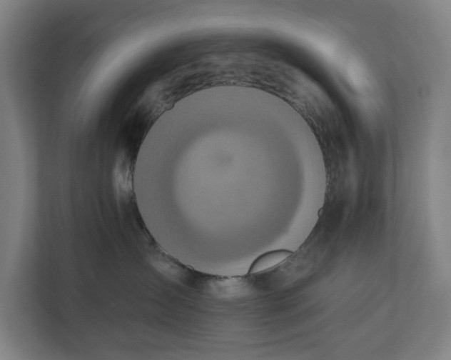 X0000110860431200906251212