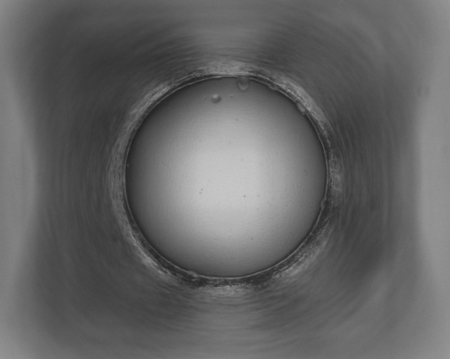 X0000110860433200906251211