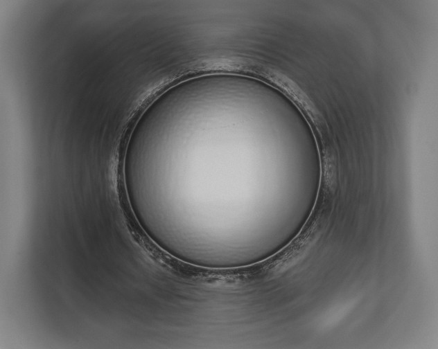 X0000110860434200906251211