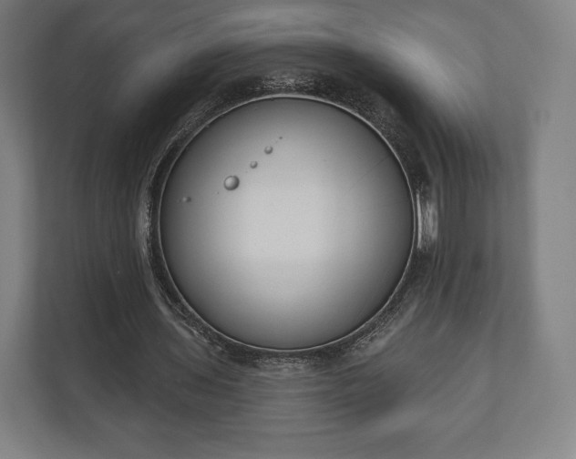 X0000110860435200906251211