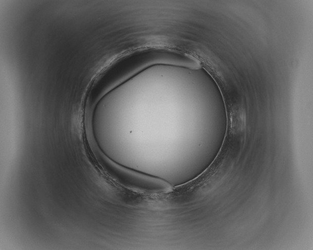 X0000110860436200906251211