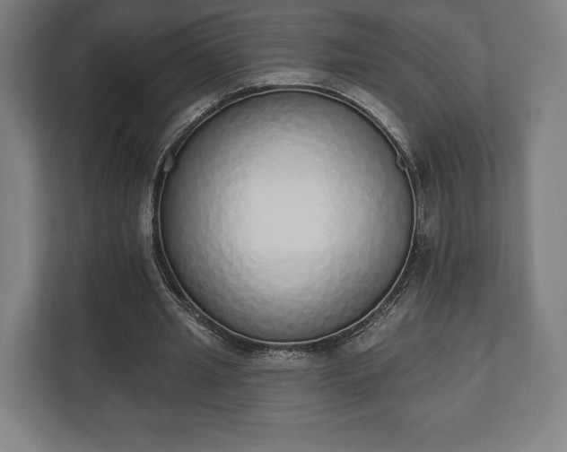 X0000110860437200906251211