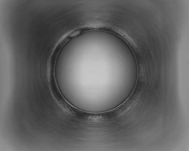 X0000110860440200906251211