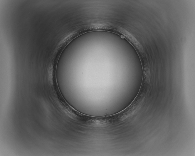 X0000110860442200906251211