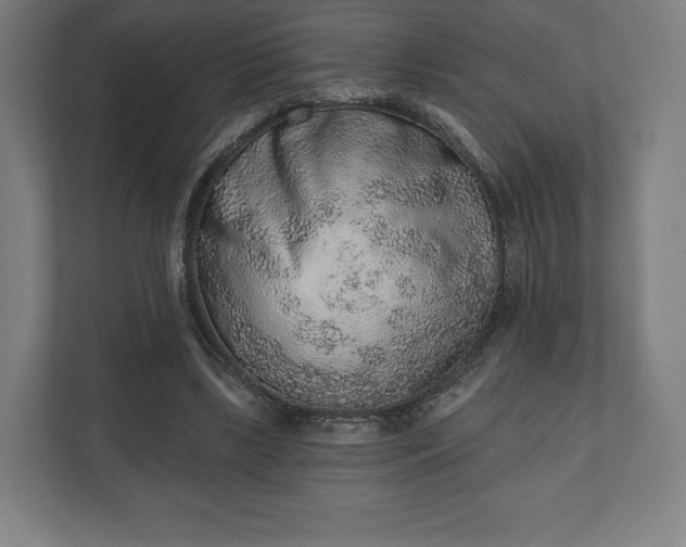 X0000110860443200906251211