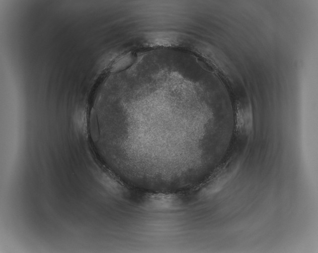 X0000110860444200906251211