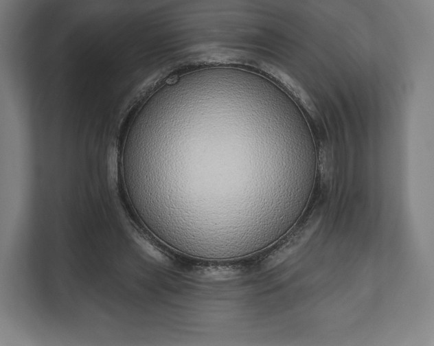 X0000110860445200906251211