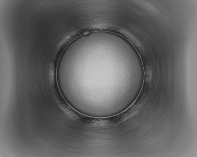 X0000110860446200906251211