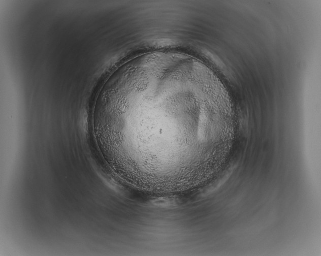 X0000110860447200906251212