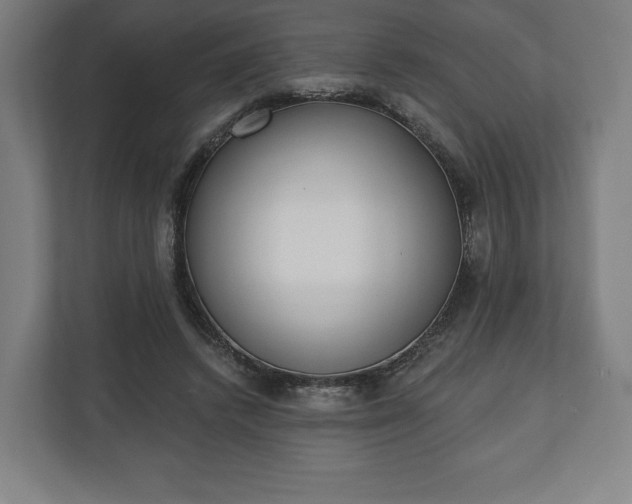 X0000110860448200906251212