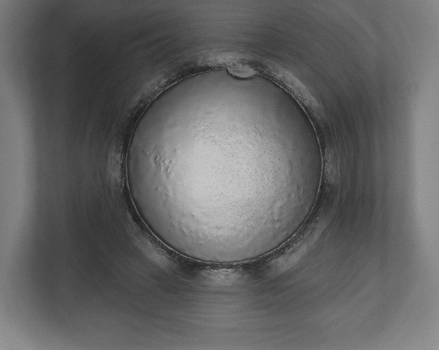 X0000110860449200906251212