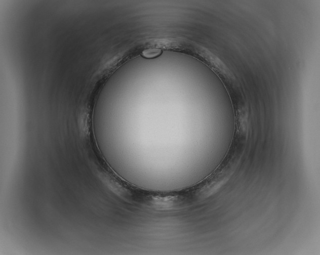 X0000110860450200906251212