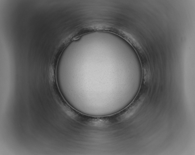 X0000110860453200906251212