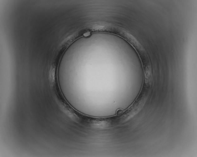 X0000110860454200906251212