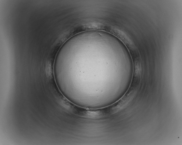 X0000110860457200906251212