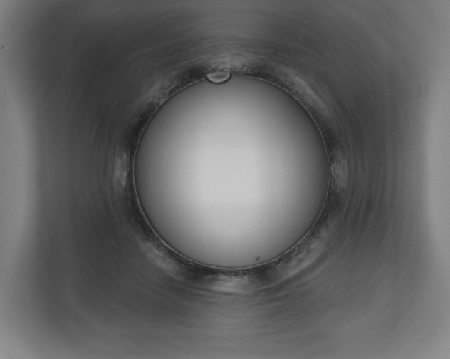 X0000110860458200906251212