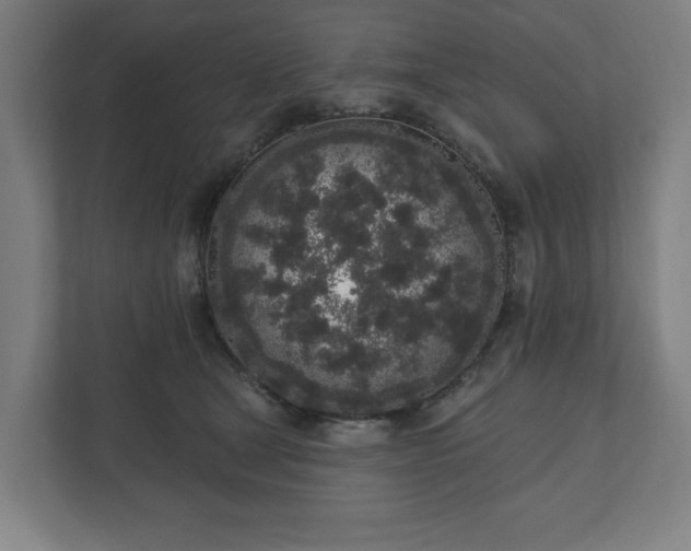 X0000110860465200906251212