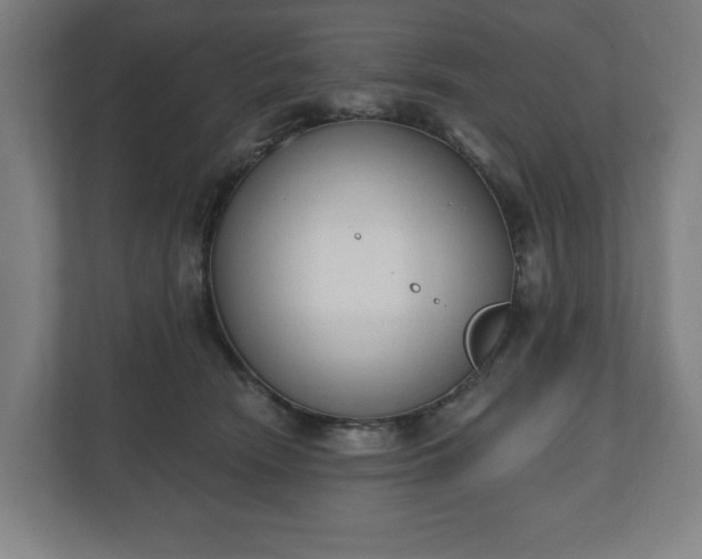 X0000110860466200906251212