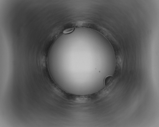 X0000110860470200906251212