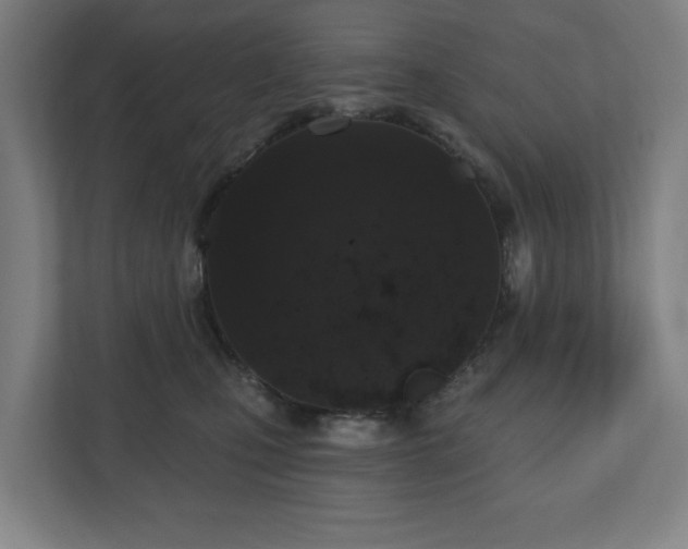 X0000110860471200906251212