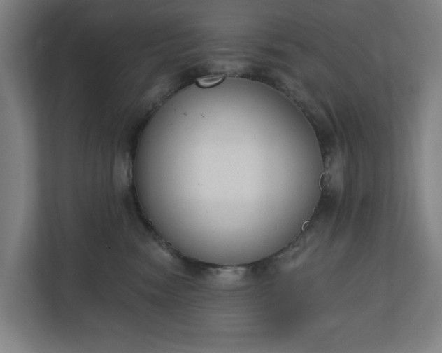 X0000110860474200906251212