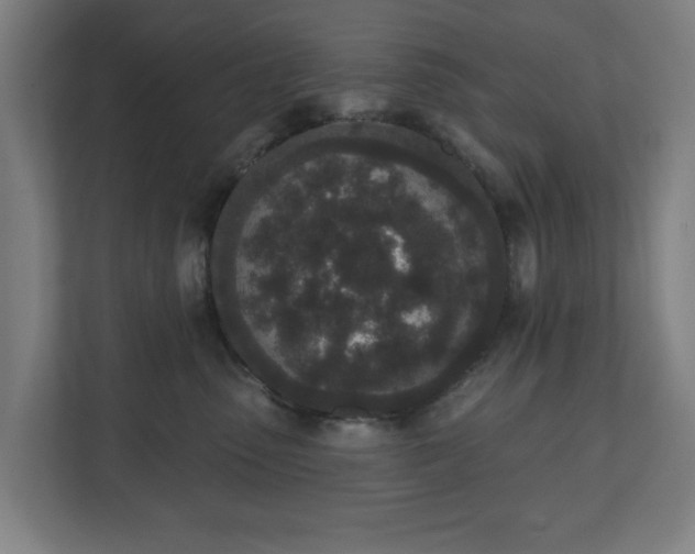 X0000110860475200906251212