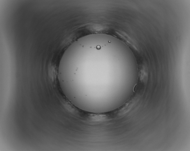 X0000110860476200906251212