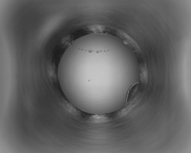 X0000110860477200906251212