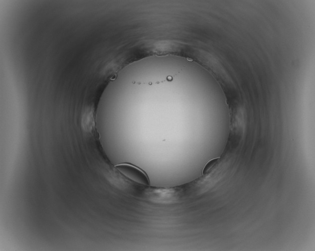 X0000110860478200906251212