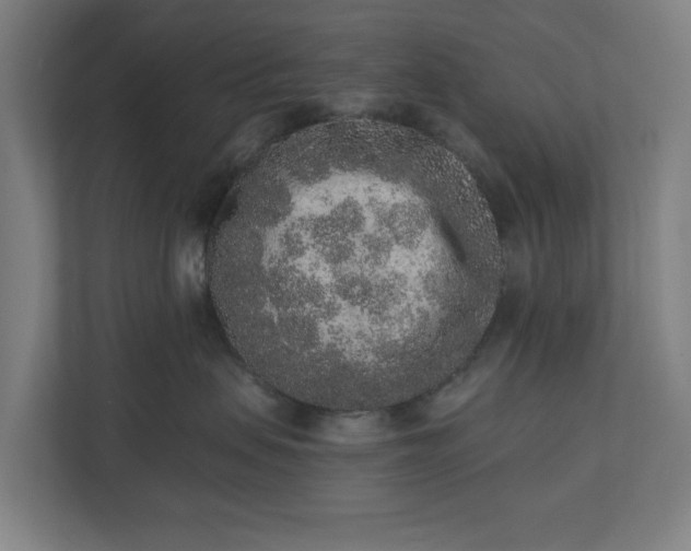 X0000110860479200906251212