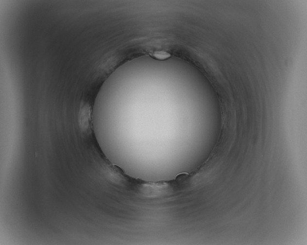 X0000110860480200906251212